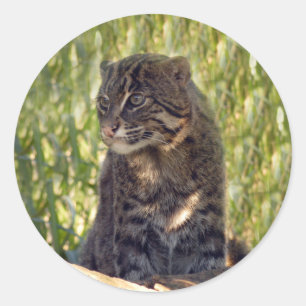 FishingCat007 Classic Round Sticker