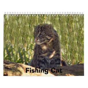 FishingCat008, Fishing Cat Calendar