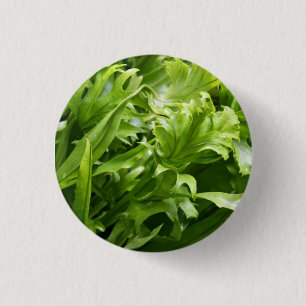 Fishtail Fern Button