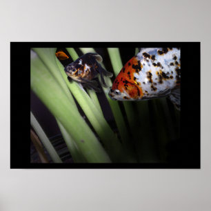 fishy business poster