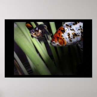 fishy business poster