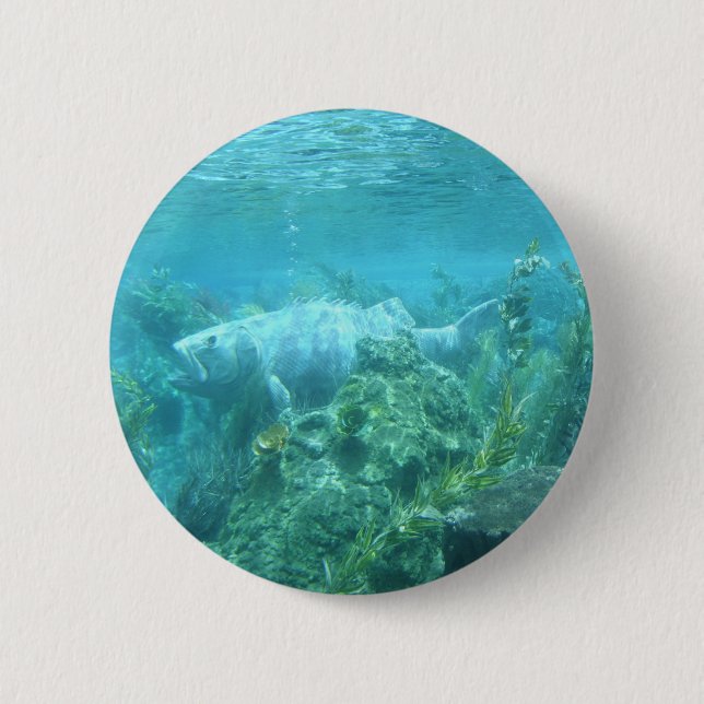 Fishy fishy... underwater fish design 6 cm round badge (Front)