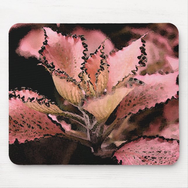 Fittonia argynoneura 'Pink Star' Mouse Pad (Front)