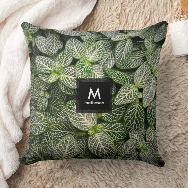 Fittonia Mosaic Plant with Variegated Leaves Cushion (Blanket)