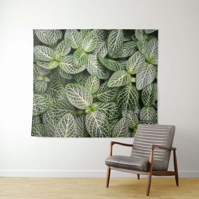 Fittonia Mosaic Plant with Variegated Leaves Tapestry (In Situ (Horizontal))