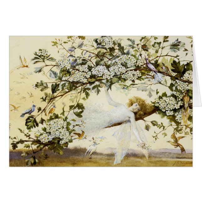 Fitzgerald's Ariel (Front Horizontal)