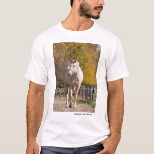 Fitzroy - NNEP Ottawa, ON T-Shirt