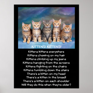 Five Adorable Tabby Kittens Poster