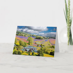 Five Ashes Card