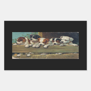 Five Beagle Puppies Rectangular Sticker