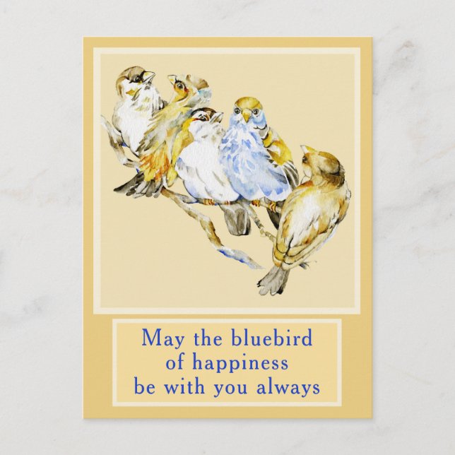 Five Birds Anytime Card (Front)