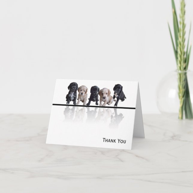 Five Black and Tan Cocker Spaniel Puppies Thank You Card (Front)