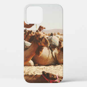 FIVE CAMELS ON FIELD iPhone 12 CASE