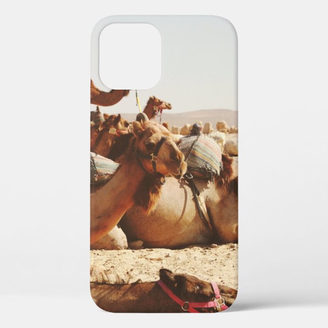 FIVE CAMELS ON FIELD Case-Mate iPhone CASE (Back)