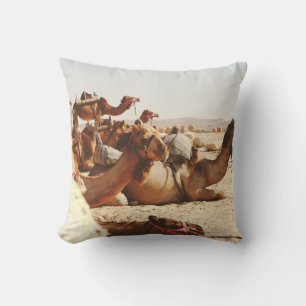 FIVE CAMELS ON FIELD CUSHION