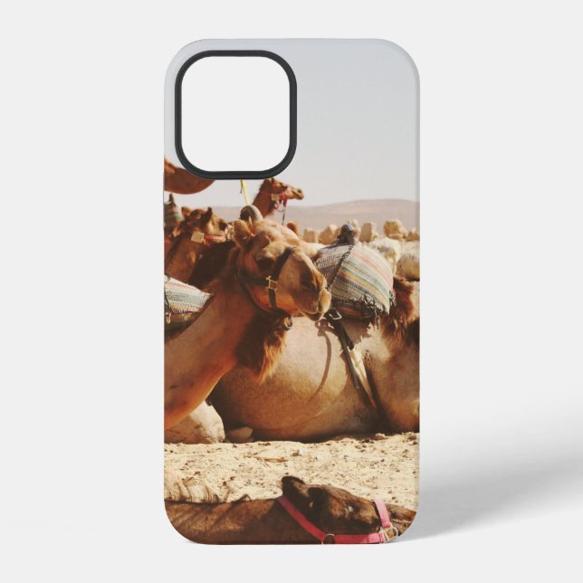 FIVE CAMELS ON FIELD iPhone CASE (Back)