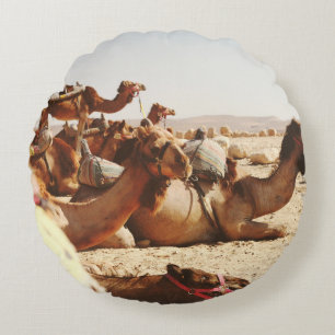 FIVE CAMELS ON FIELD ROUND CUSHION