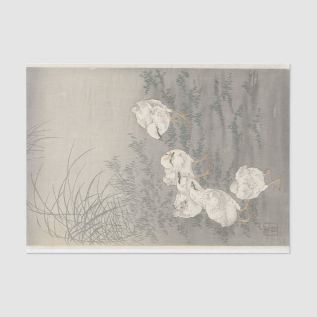 Five Chicks by Ohara Koson Tissue Paper (Front)