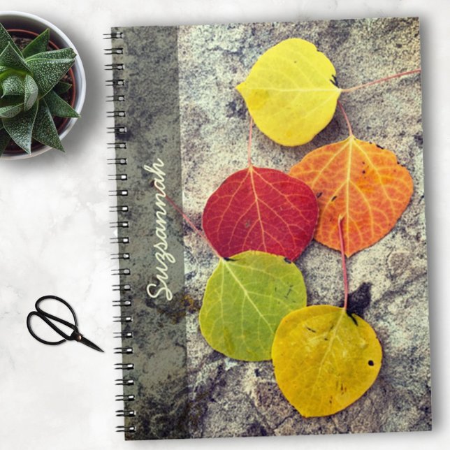 Five Colourful Autumn Aspen Leaves Custom Notebook (Creator Uploaded)