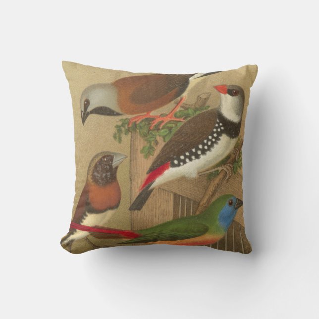 Five Colourful Pet Birds Perched on a Branch Cushion (Front)