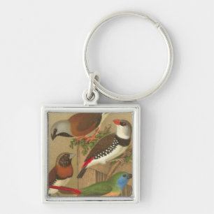 Five Colourful Pet Birds Perched on a Branch Key Ring