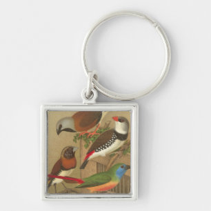 Five Colourful Pet Birds Perched on a Branch Key Ring