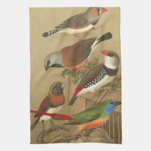 Five Colourful Pet Birds Perched on a Branch Tea Towel
