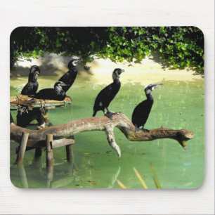 Five cormorants mouse pad