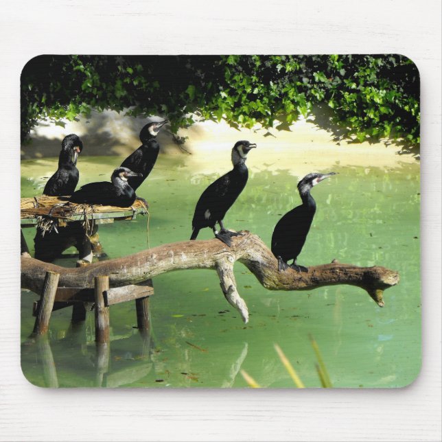 Five cormorants mouse pad (Front)