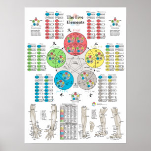 Five Elements of Acupuncture Points Poster