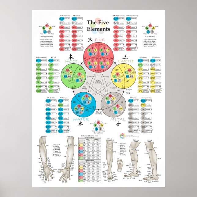 Five Elements of Acupuncture Points Poster (Front)