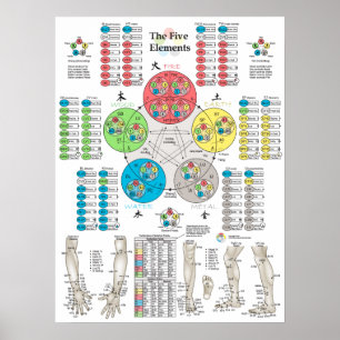 Five Elements of Acupuncture Points Poster