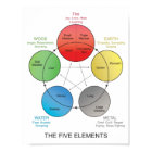 Five Elements of Acupuncture Wall Art
