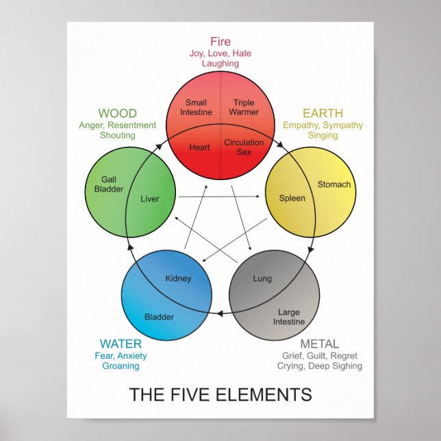 Five Elements of Acupuncture Wall Art (Front)