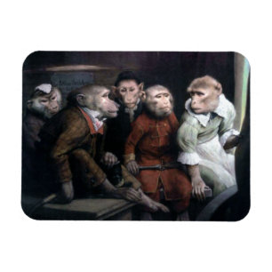Five Fancy Monkeys Magnet