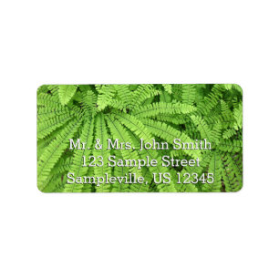 Five Finger Maidenhair Fern Label