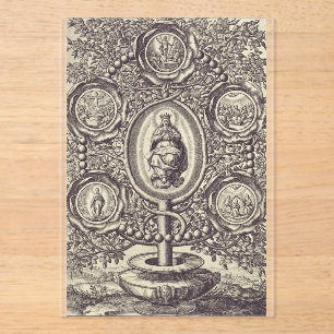 Five glorious mysteries acrylic invitations