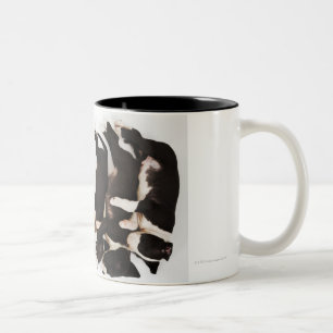 Five Harlequin Great Dane puppies sleeping Two-Tone Coffee Mug