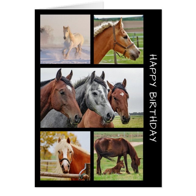 Five HORSE Photo Birthday Collage Birthday Card (Front)