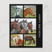 Five horse photo collage birthday postcard