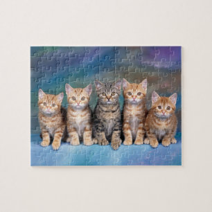 Five Kittens in a Row Puzzle