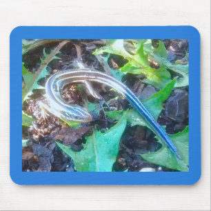 Five-Lined Skink on Dandelion Leaves Horizontal Mouse Pad