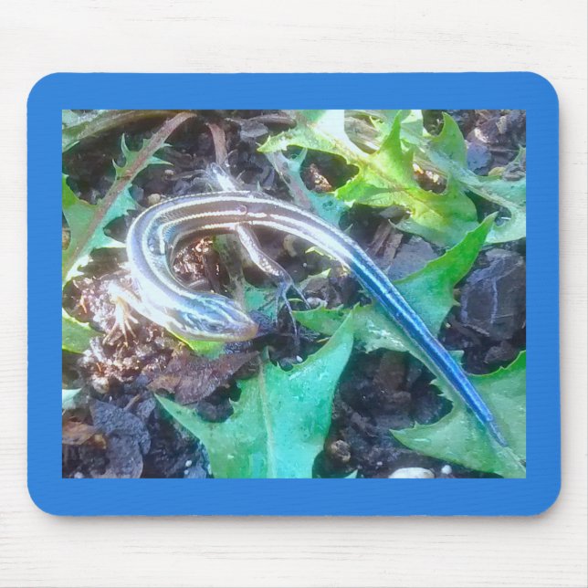 Five-Lined Skink on Dandelion Leaves Horizontal Mouse Pad (Front)
