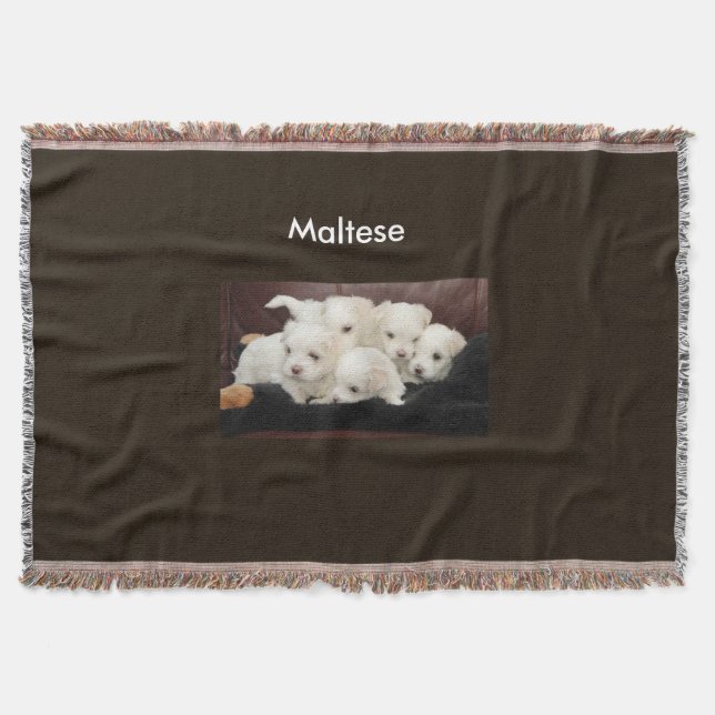 Five Maltese Puppies on a Blanket Throw (Front)