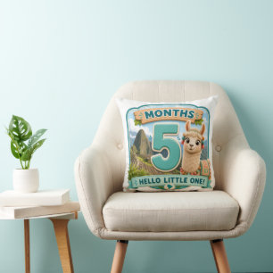 Five Months of Little Adventures Milstone Cushion