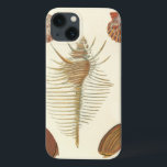 Five of a Kind Seashells iPhone 13 Case<br><div class="desc">George Wolfgang Knorr is known for the delicate detail and precision of his illustrations of seashells and conches. His drawings were influenced by his own interest in science, a popular subject matter of his era. This unique piece of art by Knorr really does a great job capturing the different kinds...</div>