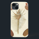 Five of a Kind Seashells iPhone 13 Case<br><div class="desc">George Wolfgang Knorr is known for the delicate detail and precision of his illustrations of seashells and conches. His drawings were influenced by his own interest in science, a popular subject matter of his era. This unique piece of art by Knorr really does a great job capturing the different kinds...</div>