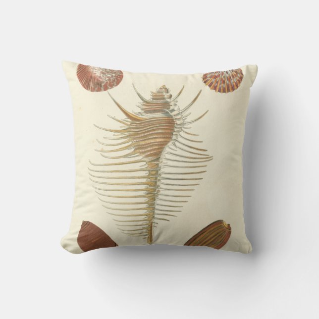 Five of a Kind Seashells Cushion (Front)