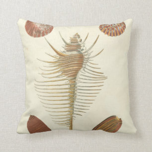 Five of a Kind Seashells Cushion