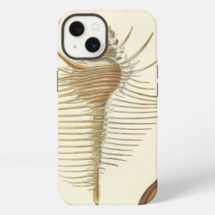 Five of a Kind Seashells iPhone Case